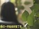 上海夫妇决定丁克 20年后丈夫偷偷在外生子